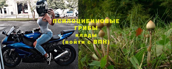 spice Новодвинск