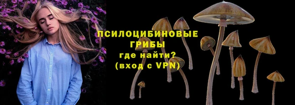 марихуана Новозыбков