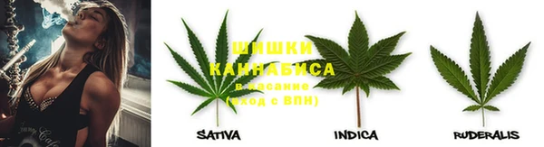 spice Новодвинск