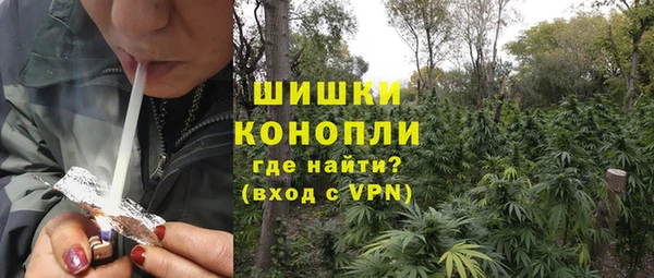 тгк Новокубанск