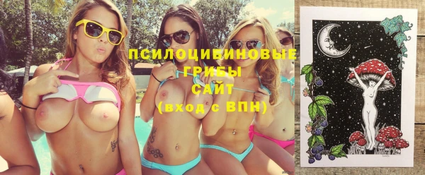 марихуана Новозыбков