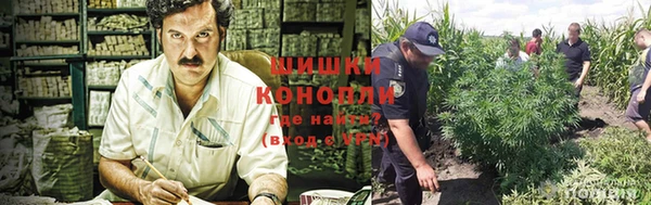 марихуана Новозыбков